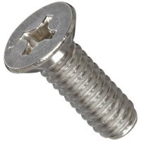 FH6C4CPS01BG FLAT 100 PHIL SCREW SS PASS